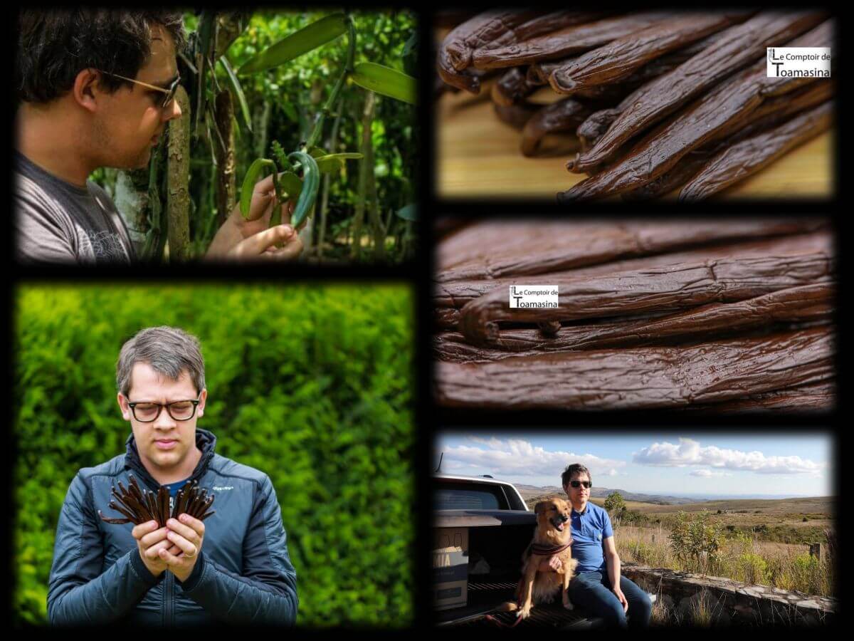 Baunilha - fava de baunilha - Arnaud Cherche de vanille rare